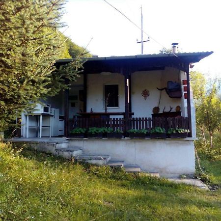 Bungalows Zdravets Berkovitsa Εξωτερικό φωτογραφία