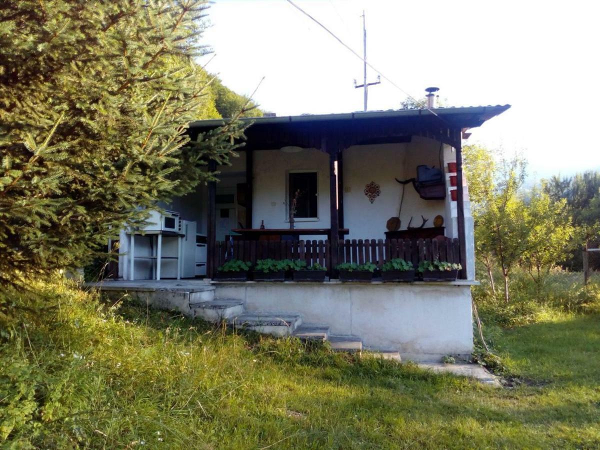 Bungalows Zdravets Berkovitsa Εξωτερικό φωτογραφία