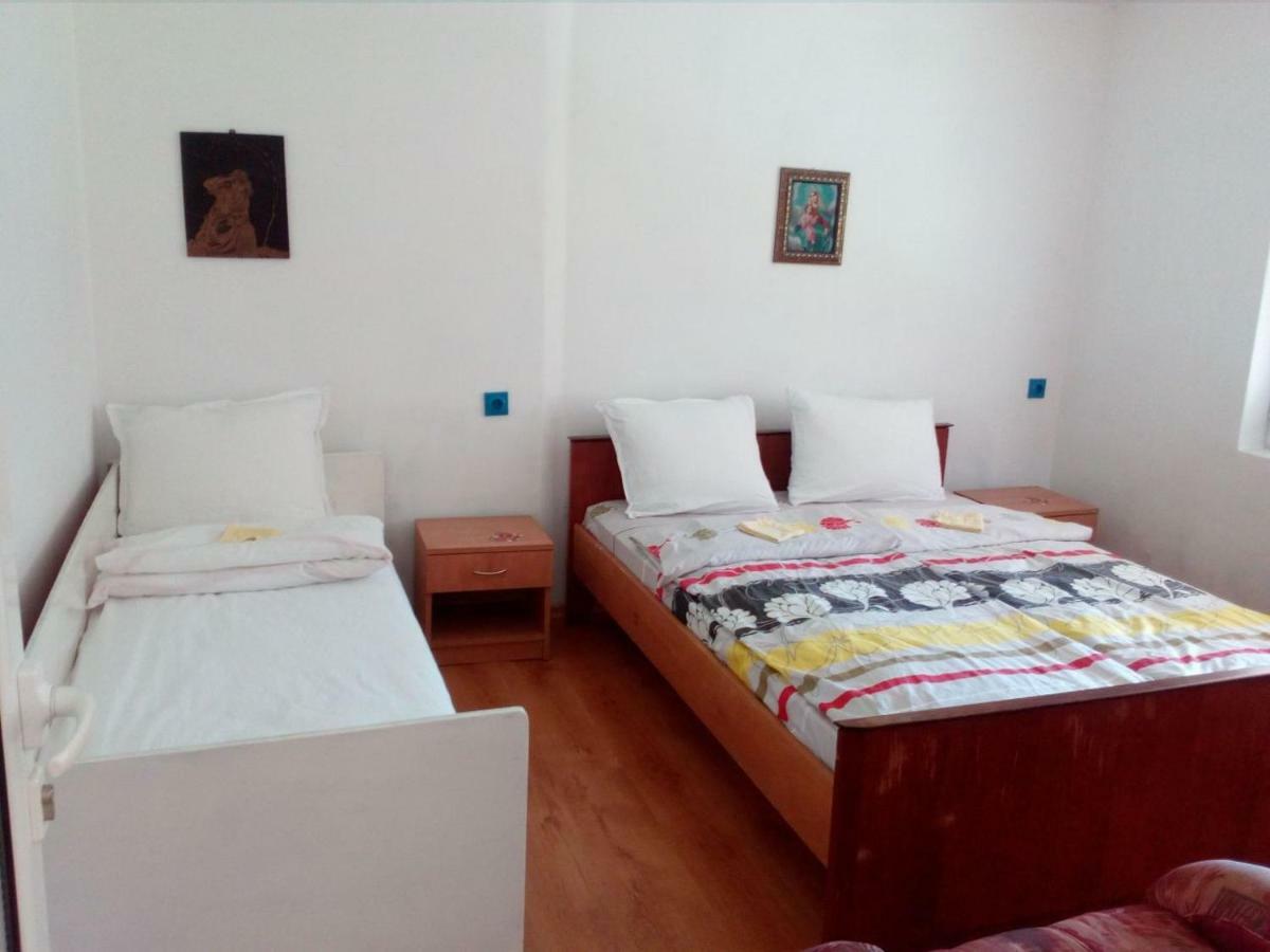 Bungalows Zdravets Berkovitsa Εξωτερικό φωτογραφία