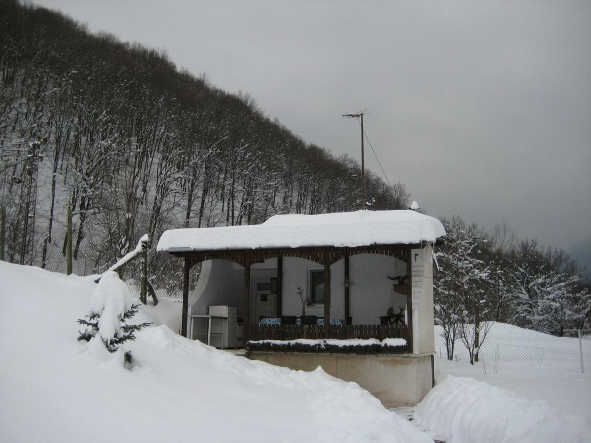 Bungalows Zdravets Berkovitsa Εξωτερικό φωτογραφία