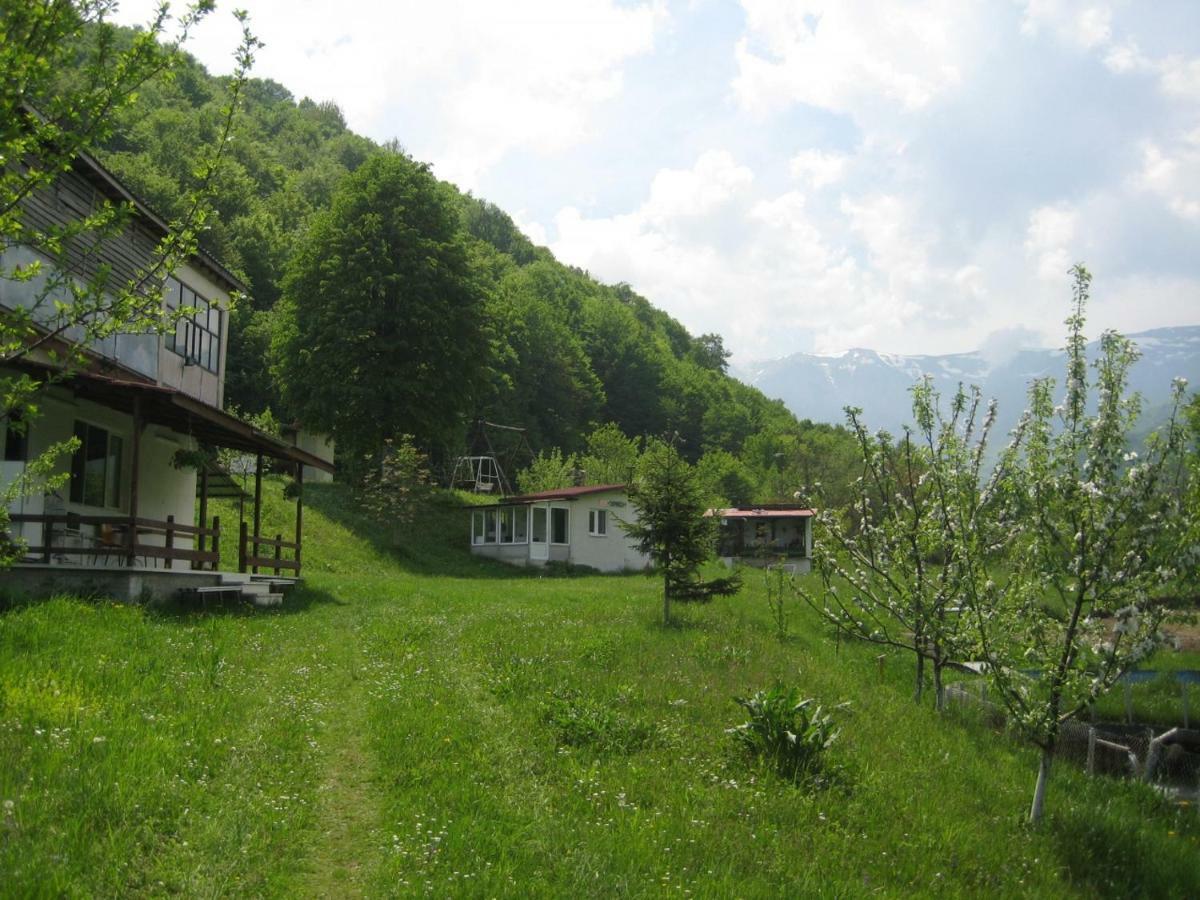 Bungalows Zdravets Berkovitsa Εξωτερικό φωτογραφία