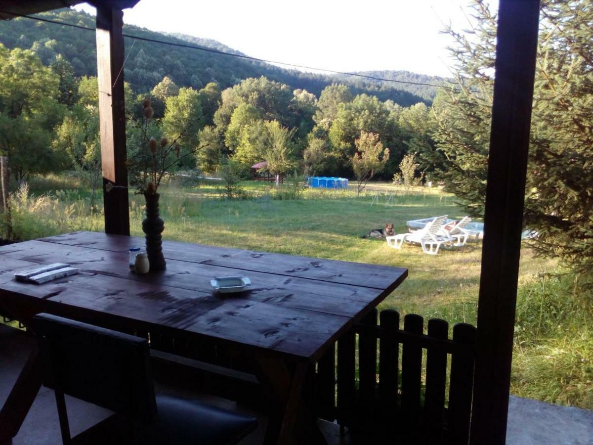 Bungalows Zdravets Berkovitsa Εξωτερικό φωτογραφία