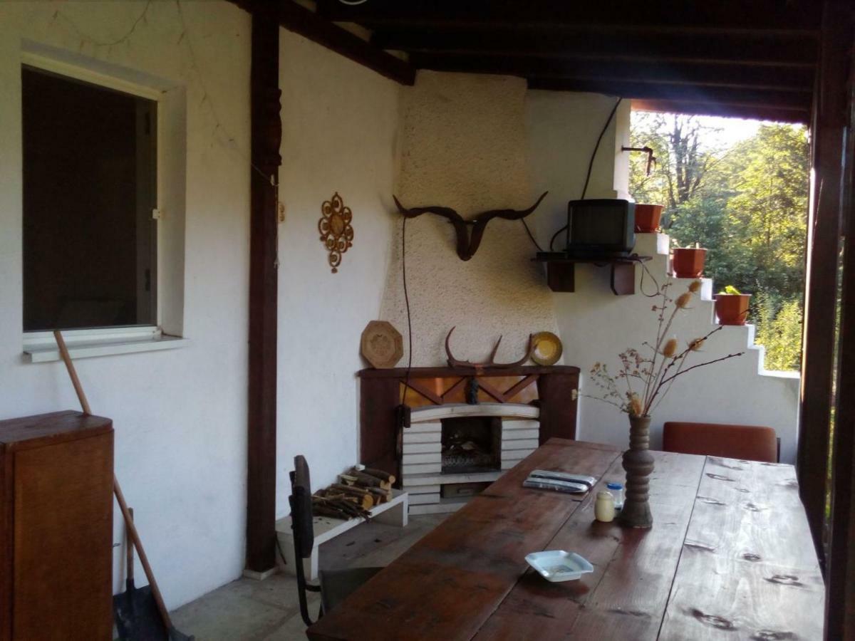 Bungalows Zdravets Berkovitsa Εξωτερικό φωτογραφία