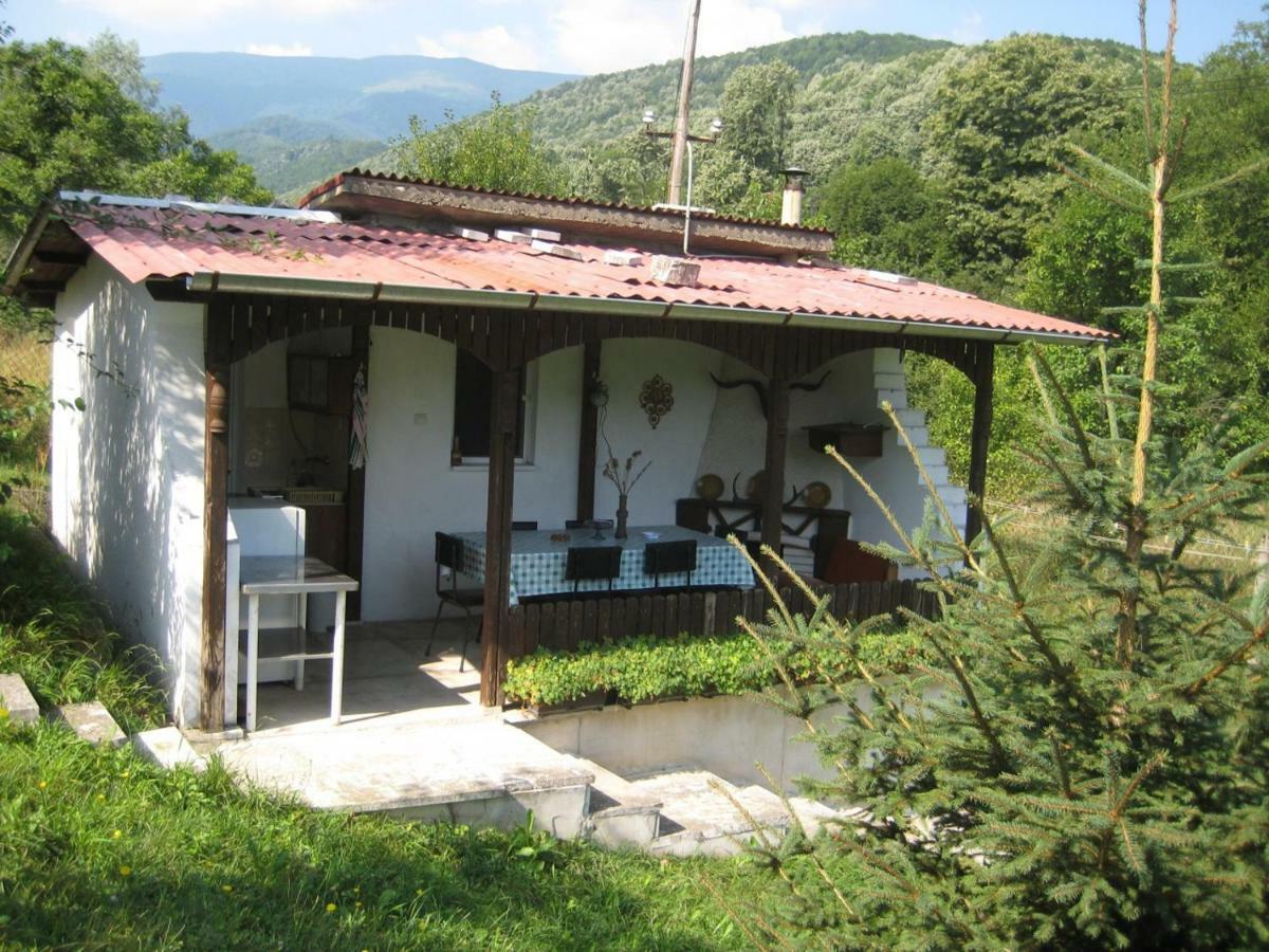 Bungalows Zdravets Berkovitsa Εξωτερικό φωτογραφία
