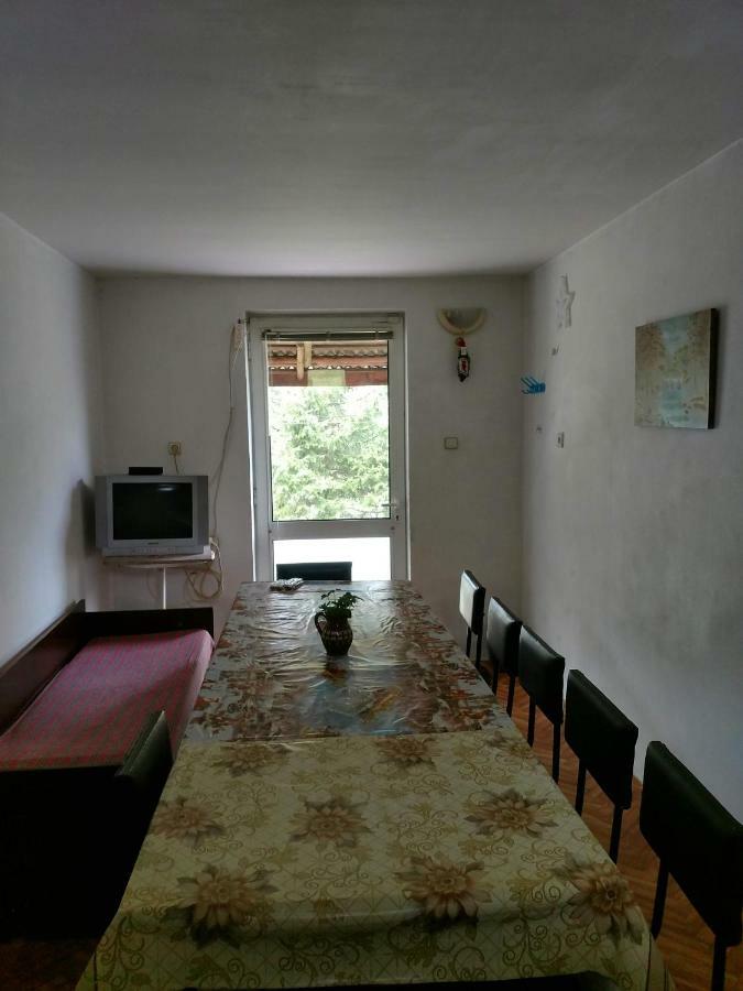 Bungalows Zdravets Berkovitsa Εξωτερικό φωτογραφία